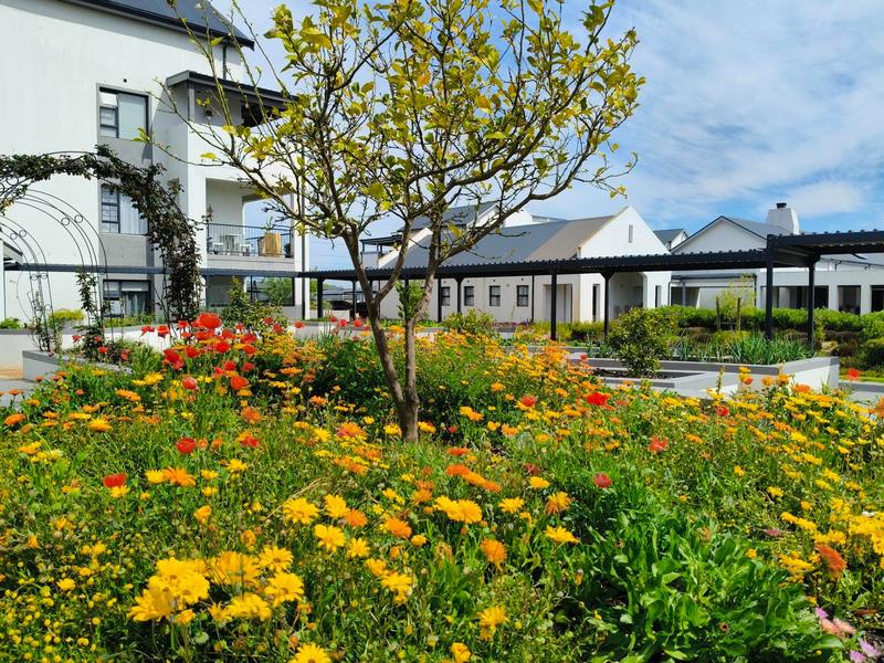 1 Bedroom Property for Sale in Buh Rein Estate Western Cape